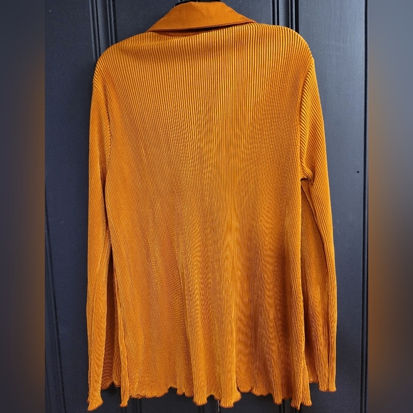 Accordian Pleated Button-Down Shirt, Rust Orange, NWOT - Picture 2 of 4